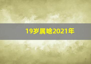 19岁属啥2021年