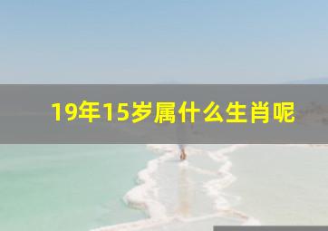 19年15岁属什么生肖呢