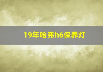 19年哈弗h6保养灯