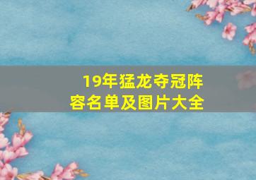 19年猛龙夺冠阵容名单及图片大全