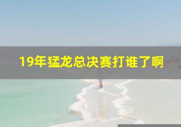 19年猛龙总决赛打谁了啊