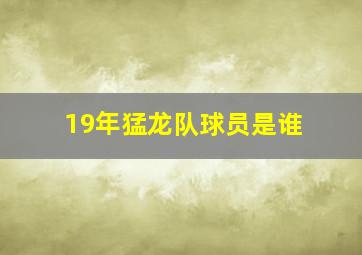 19年猛龙队球员是谁