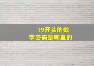 19开头的数字密码是哪里的