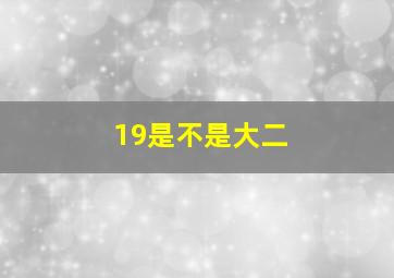 19是不是大二