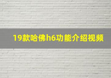 19款哈佛h6功能介绍视频