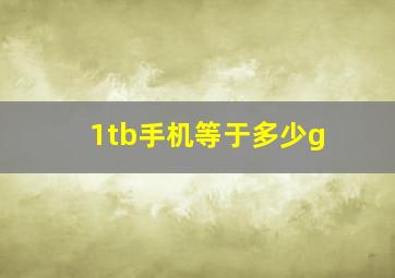 1tb手机等于多少g