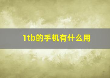 1tb的手机有什么用