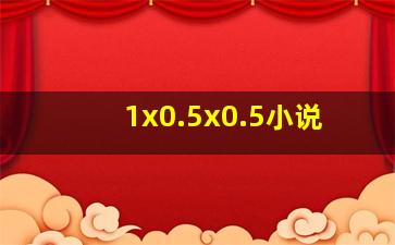 1x0.5x0.5小说