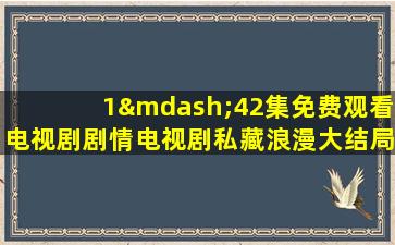 1—42集免费观看电视剧剧情电视剧私藏浪漫大结局