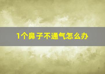 1个鼻子不通气怎么办