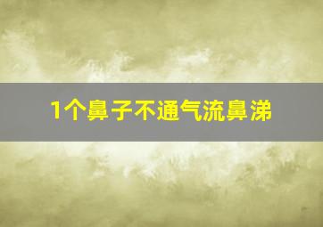 1个鼻子不通气流鼻涕