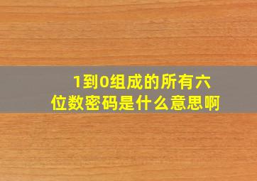 1到0组成的所有六位数密码是什么意思啊