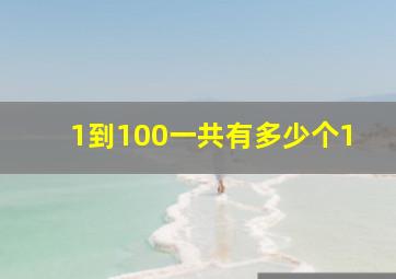 1到100一共有多少个1