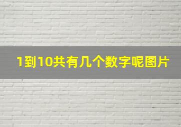 1到10共有几个数字呢图片