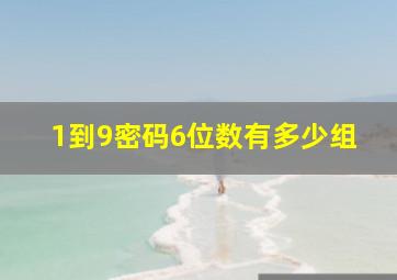 1到9密码6位数有多少组