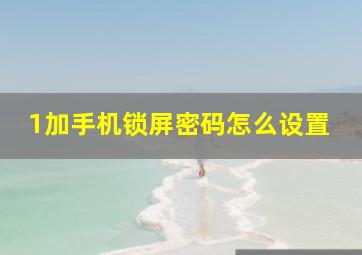 1加手机锁屏密码怎么设置