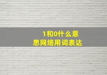 1和0什么意思网络用词表达