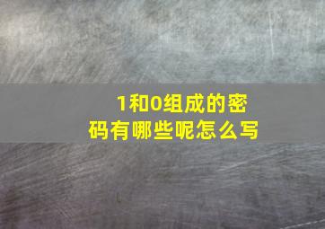 1和0组成的密码有哪些呢怎么写