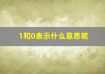 1和0表示什么意思呢