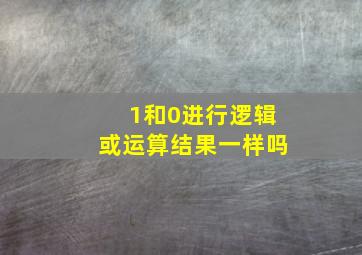 1和0进行逻辑或运算结果一样吗