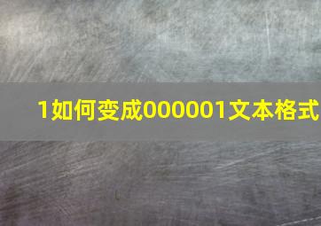 1如何变成000001文本格式