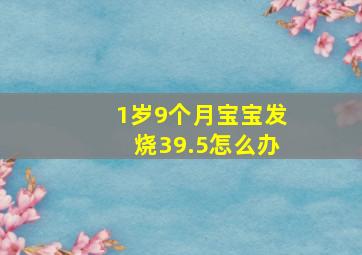 1岁9个月宝宝发烧39.5怎么办