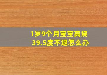 1岁9个月宝宝高烧39.5度不退怎么办