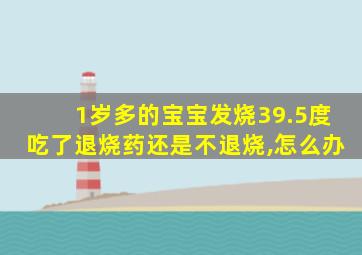 1岁多的宝宝发烧39.5度吃了退烧药还是不退烧,怎么办