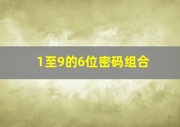 1至9的6位密码组合