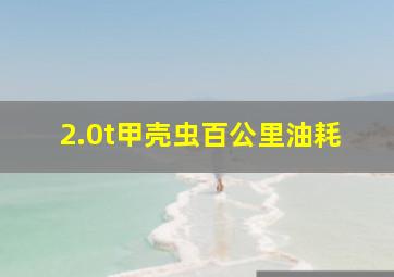 2.0t甲壳虫百公里油耗