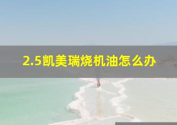 2.5凯美瑞烧机油怎么办