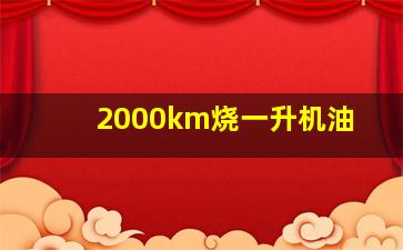 2000km烧一升机油