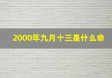 2000年九月十三是什么命