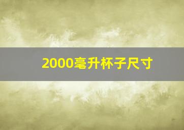 2000毫升杯子尺寸