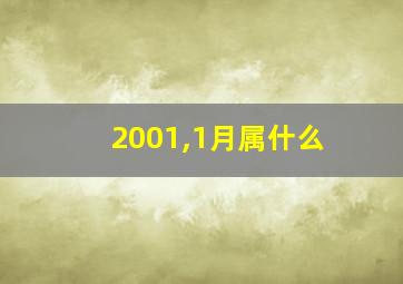 2001,1月属什么