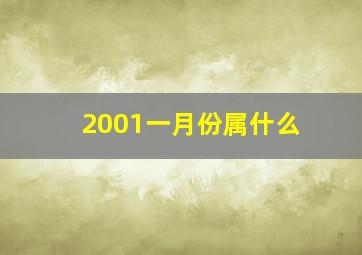 2001一月份属什么