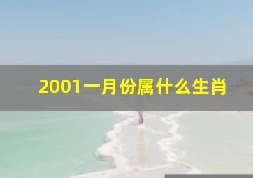 2001一月份属什么生肖