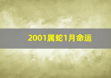 2001属蛇1月命运