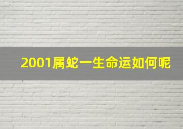 2001属蛇一生命运如何呢