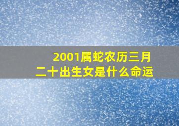 2001属蛇农历三月二十出生女是什么命运