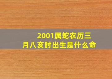 2001属蛇农历三月八亥时出生是什么命