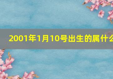 2001年1月10号出生的属什么