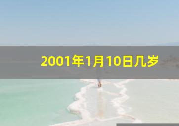 2001年1月10日几岁