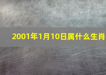 2001年1月10日属什么生肖