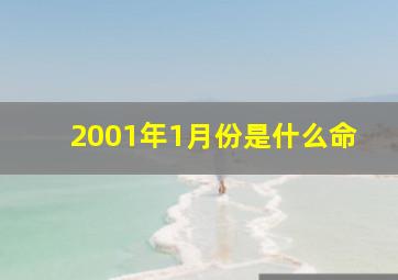 2001年1月份是什么命