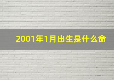 2001年1月出生是什么命