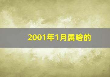 2001年1月属啥的