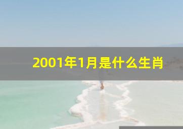 2001年1月是什么生肖