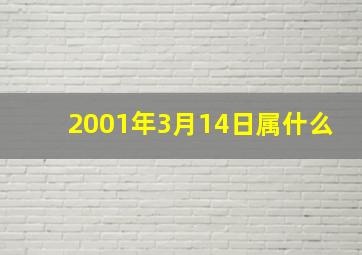 2001年3月14日属什么