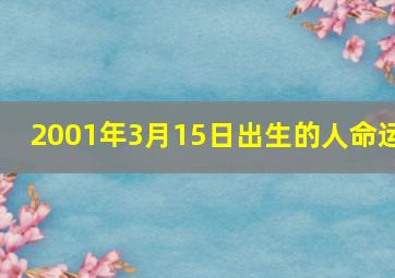 2001年3月15日出生的人命运